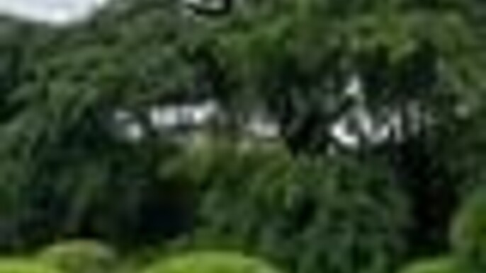 Kyoto Gion Food and Walking Tour