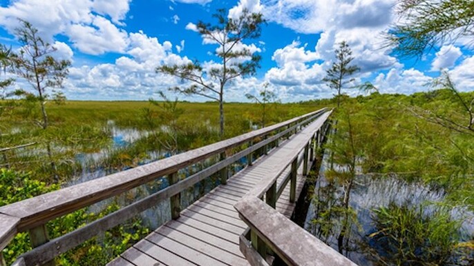 Audio Guided Driving Tour in Everglades National Park