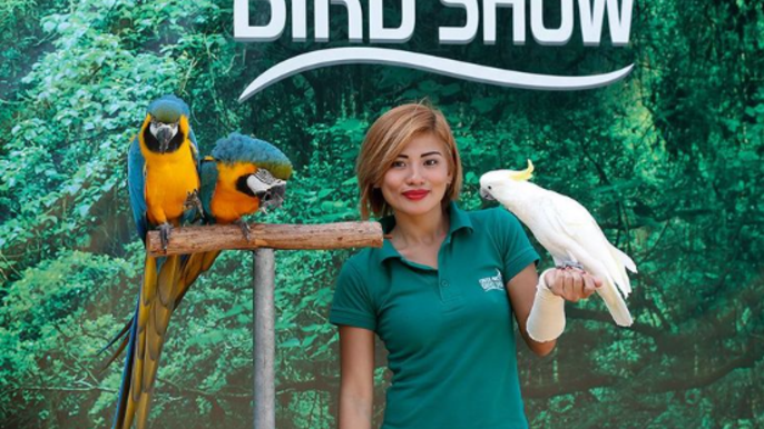 Creek Park Bird Show – Dubai Dolphinarium Admission Ticket