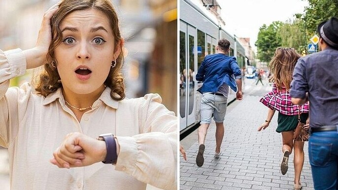 The Hunt, an exciting cat and mouse game in Vielsalm