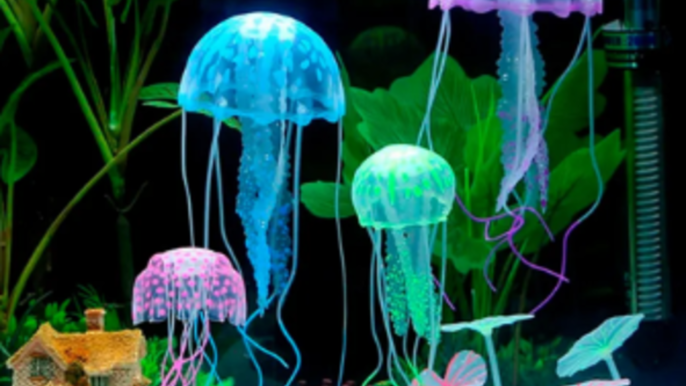 Dubai Aquarium & Underwater Zoo at Dubai Mall – Downtown Dubai, UAE