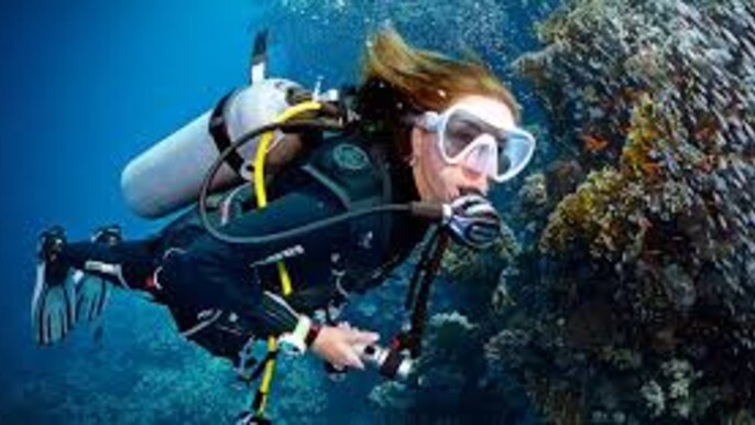 [Cerified divers Only] Shore Diving Experience