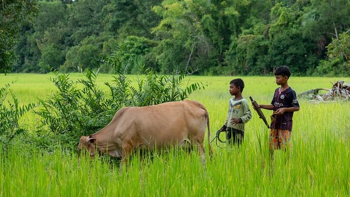 15 Day Cambodia Journey Culture Heritage and Coastal Adventures