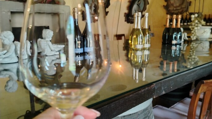 Lake Iseo and Franciacorta Winery Area. Scenic & Wine Tasting Small group tour