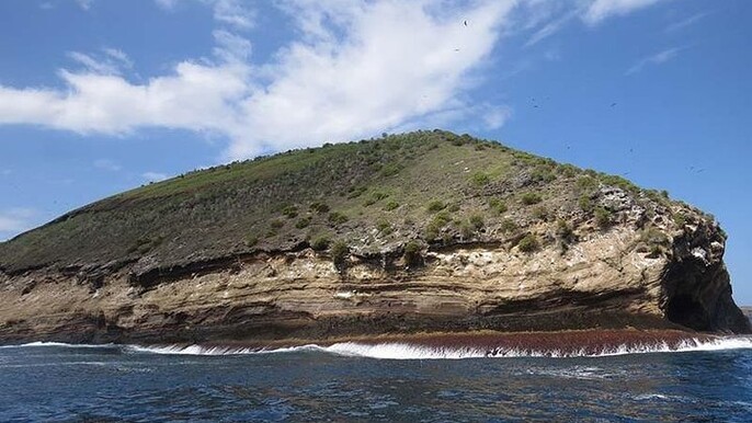 Snorkeling tour at tortuga island from Isabela