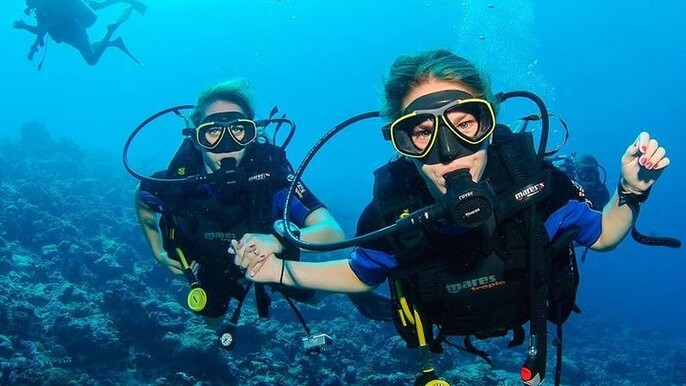 Two Dives for certified divers in Fujairah