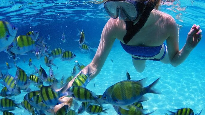 From Dubai: Snorkeling trip in Fujairah