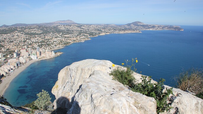 Alicante Shared Tour Old town, Elche and Huerto del Cura Gardens