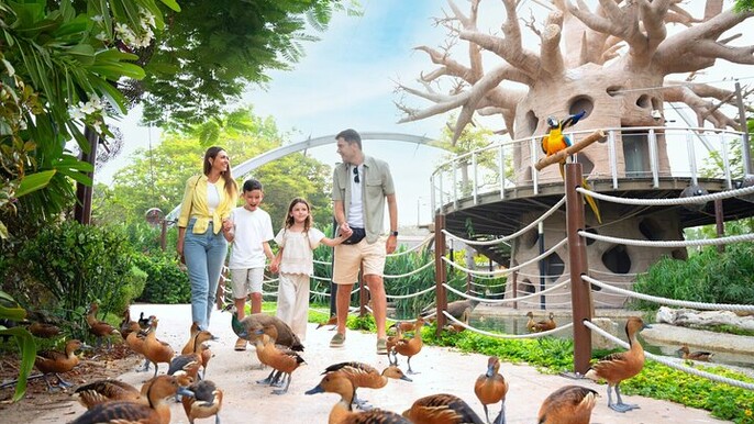 Dubai Safari Park Your Ultimate Safari Experience