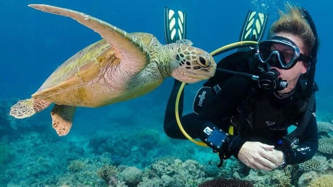 Intro and Professional Scuba Diving Cruise with Lunch in Hurghada