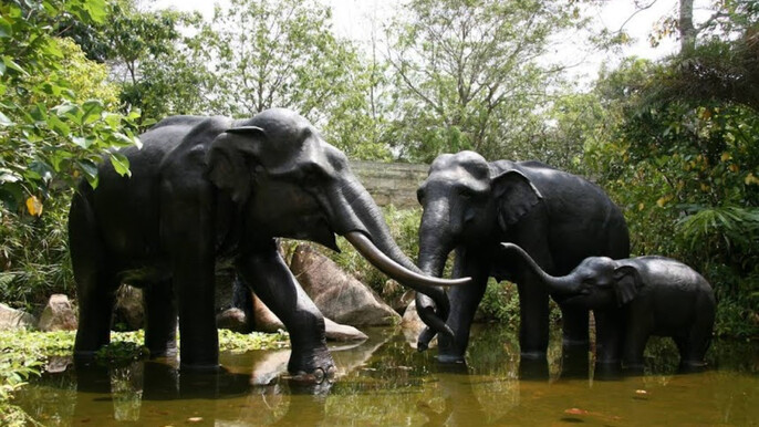 Singapore River Wonders and Night Safari + Roundtrip Transfers