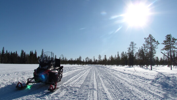 Raekallio safari by snowmobile (50km) - private group