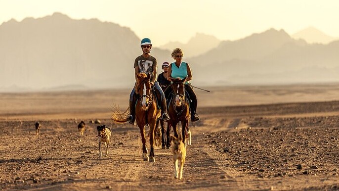 Horse Riding 2 Hours Through the Desert: Sharm El Sheikh