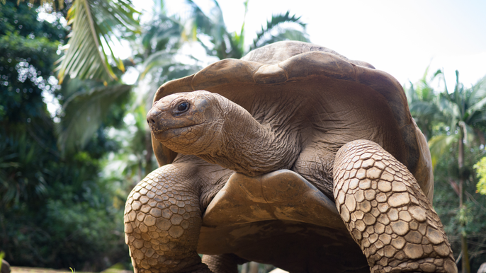 H-East-Ory: Private South East Excursion