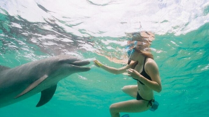 Dolphin House Cruise with water sports and Lunch in Hurghada