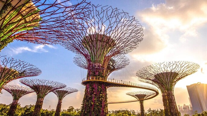 Singapore Half Day City Tour w Skypark and Gardens By The Bay