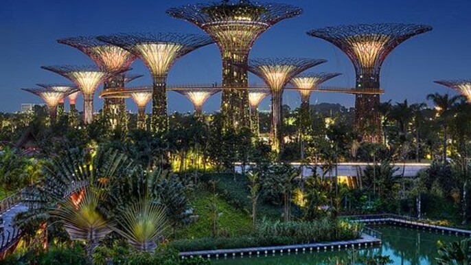 Botanic Adventures at Gardens by the Bay