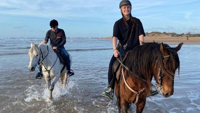 1 Hour Horse Riding in Nabq Bay Beach & Transfer: Sharm El Sheikh