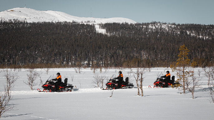 One Hour Snowmobile Safari in Levi