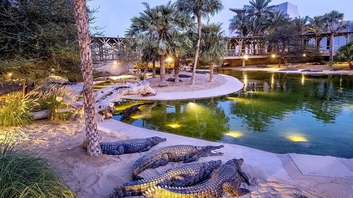 Dubai Crocodile Park Tickets