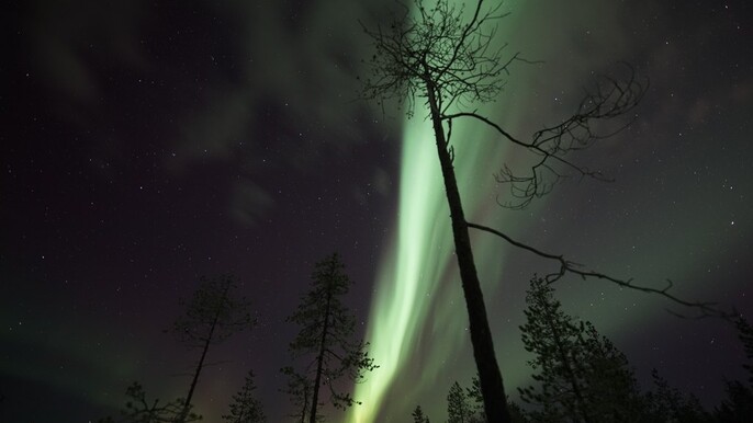 Guaranteed Aurora Chase – Small group