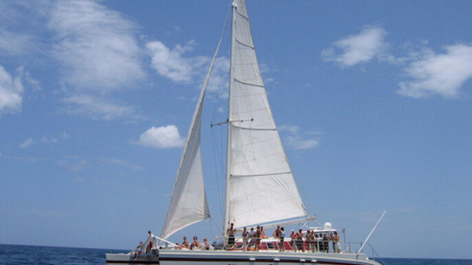 Private Catamaran - Half Day