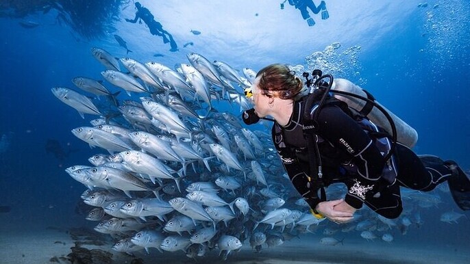 Professional Deep Diving Experience 2 Dives & Lunch / Hurghada