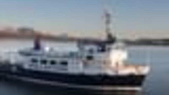 New Years Fireworks by Boat from Reykjavik