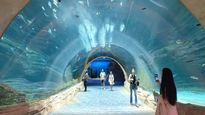 SeaWorld Abu Dhabi Marine Adventure