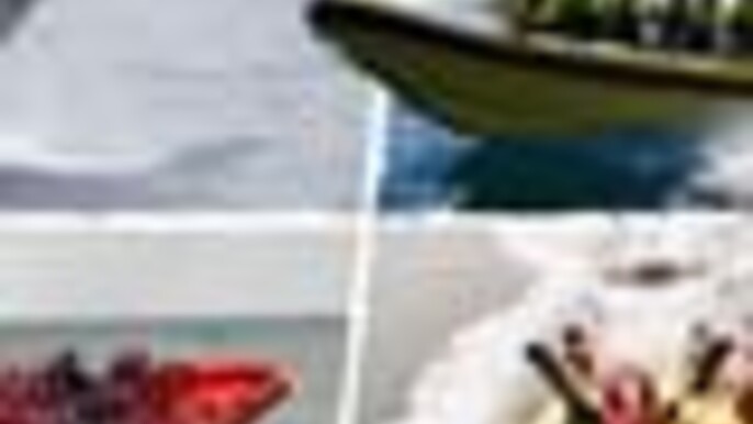 Reykjavik Whale Safari: Speedboat Adventure