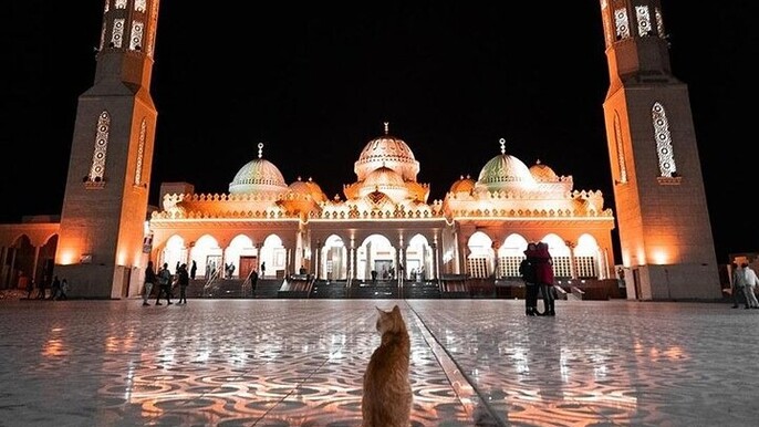 Hurghada Museum & City Tour With Private transportation - Hurghada