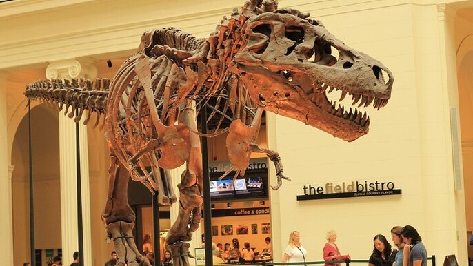 Chicago Field Museum Ticket and Audio Tour