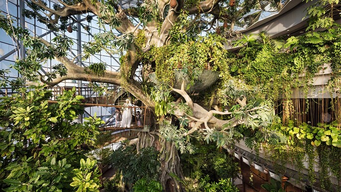 The Green Planet Dubai Rainforest Tickets