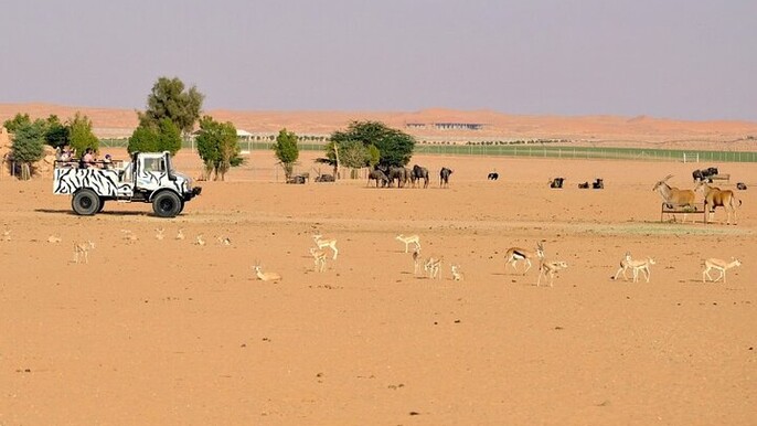 An Exciting Adventure on an Open Safari Vehicle at Nova Park