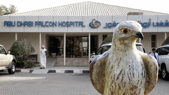 Falcon Hospital Abu Dhabi Tour