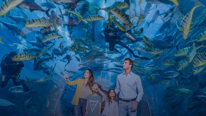 Dubai Aquarium and Underwater Zoo Ticket