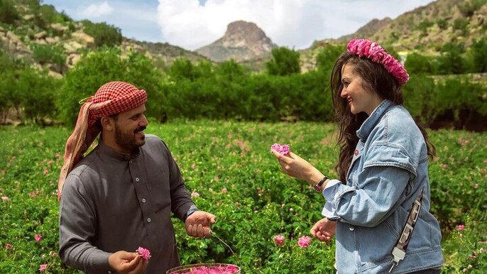 Visit Taif The City of Roses From Jeddah