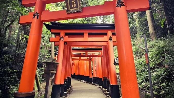 Private Guided Tour to Kyoto