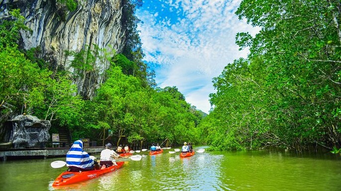Half Day Bor Thor Mangrove Kayaking Tour from Krabi