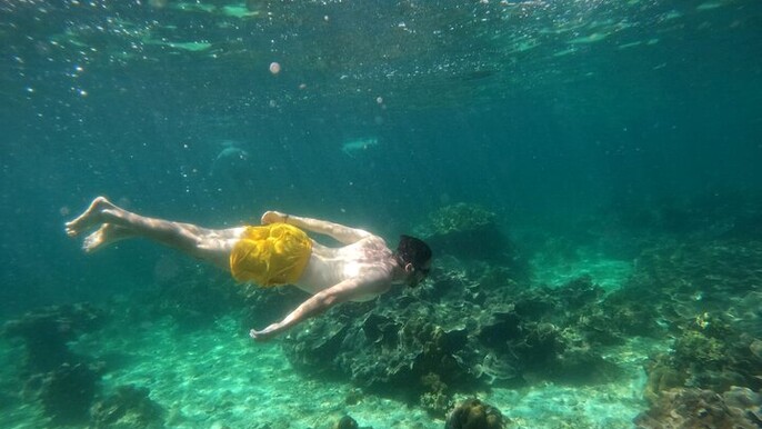 Koh Lipe Inside Outside Snorkel Tour by Private Longtail Boat