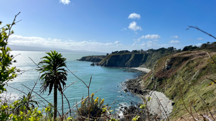 Hike the UNESCO Dublin Bay Biosphere. Dublin. Guided.