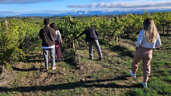 Winery Tour with Wine & Food Tasting in Montepulciano