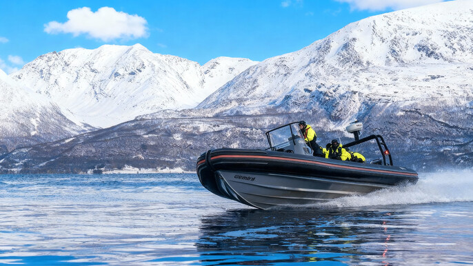 From Tromsø: Epic Arctic Whale Watching Day Trip 12h