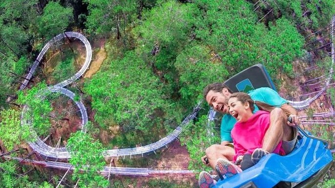 Datanla New Alpine Coaster Tour Experience Ticket
