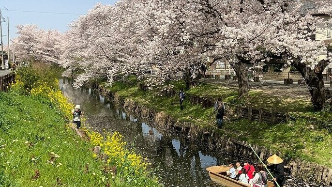 Private Day Trip to Kawagoe Little Edo and Optional Harry Potter