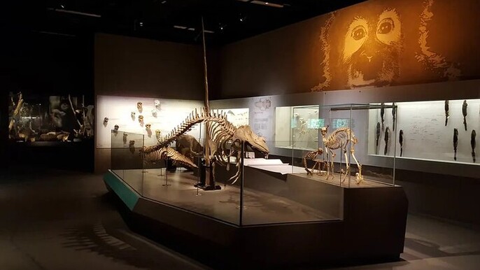 Dinosaurs to Discovery Exploring Lee Kong Chian Museum |Singapore