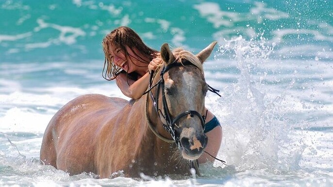 3-Hour Desert and Beach Horse Ride with Swimming from Hurghada
