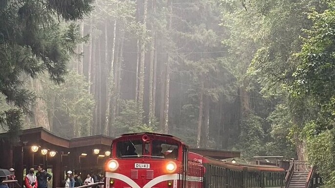 Alishan Scenic One Day guided Tour from Taichung