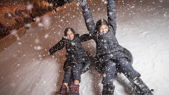 Snow City Singapore Admission Ticket