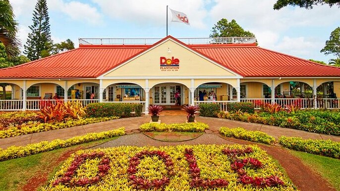 Oahu's Ultimate Tour: Dole, Turtle Snorkel, Pali Lookout & More